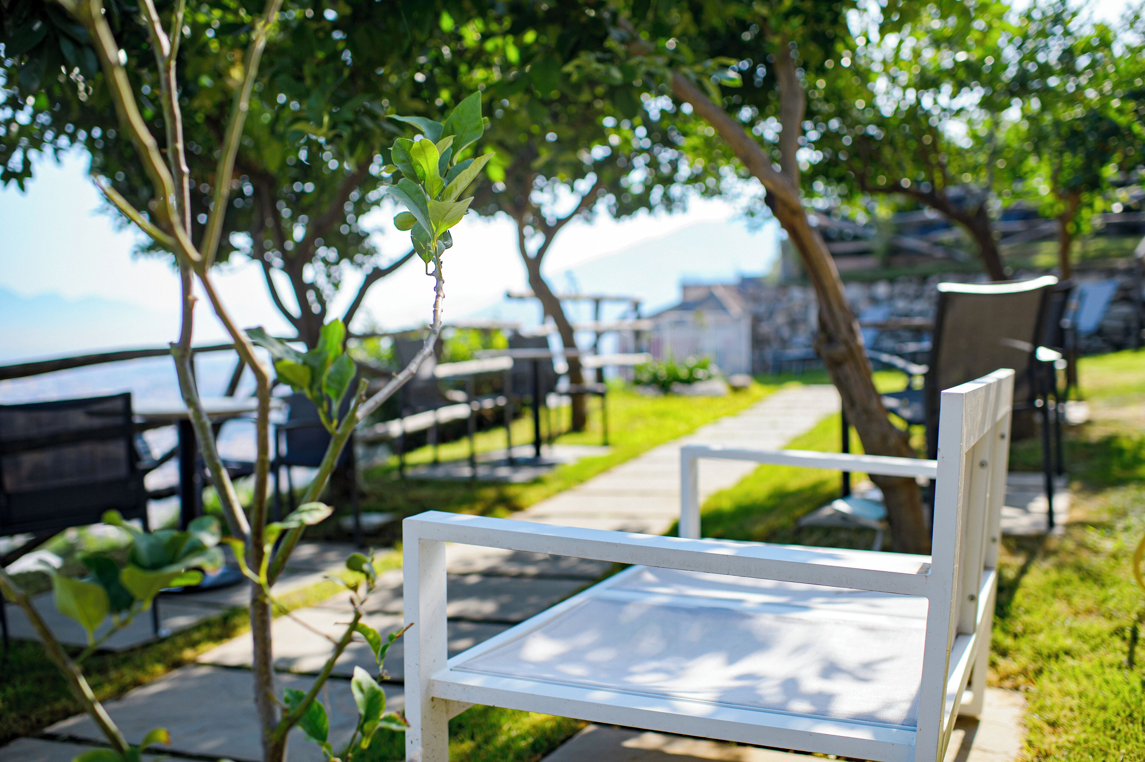 A white bench in a park with a pathway, trees, and a view of a body of water.