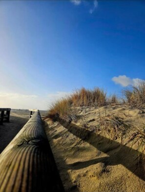 Playa en los alrededores y camastros