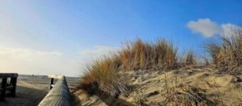 Vacation apartment Küstenwind