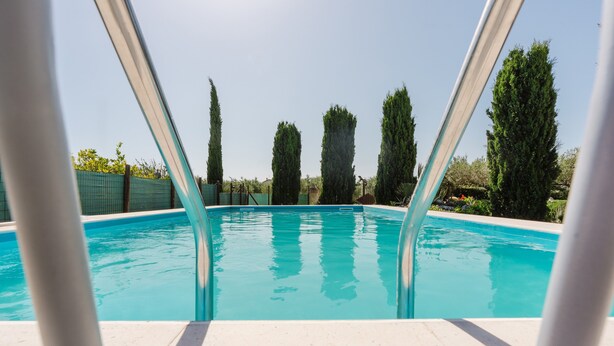 Una piscina con agua cristalina, rodeada de altos árboles y una valla verde.