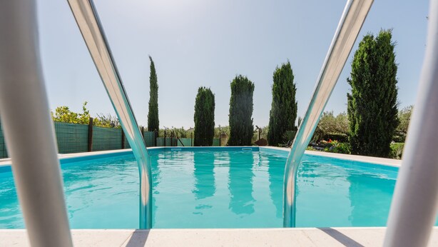 Una piscina con agua azul cristalina, rodeada de árboles altos y delgados y una valla verde.