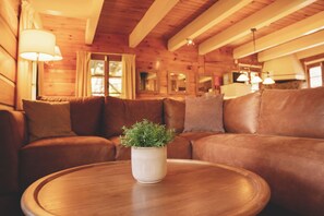 Smart-TV, Kamin, Bücher, Stereoanlage