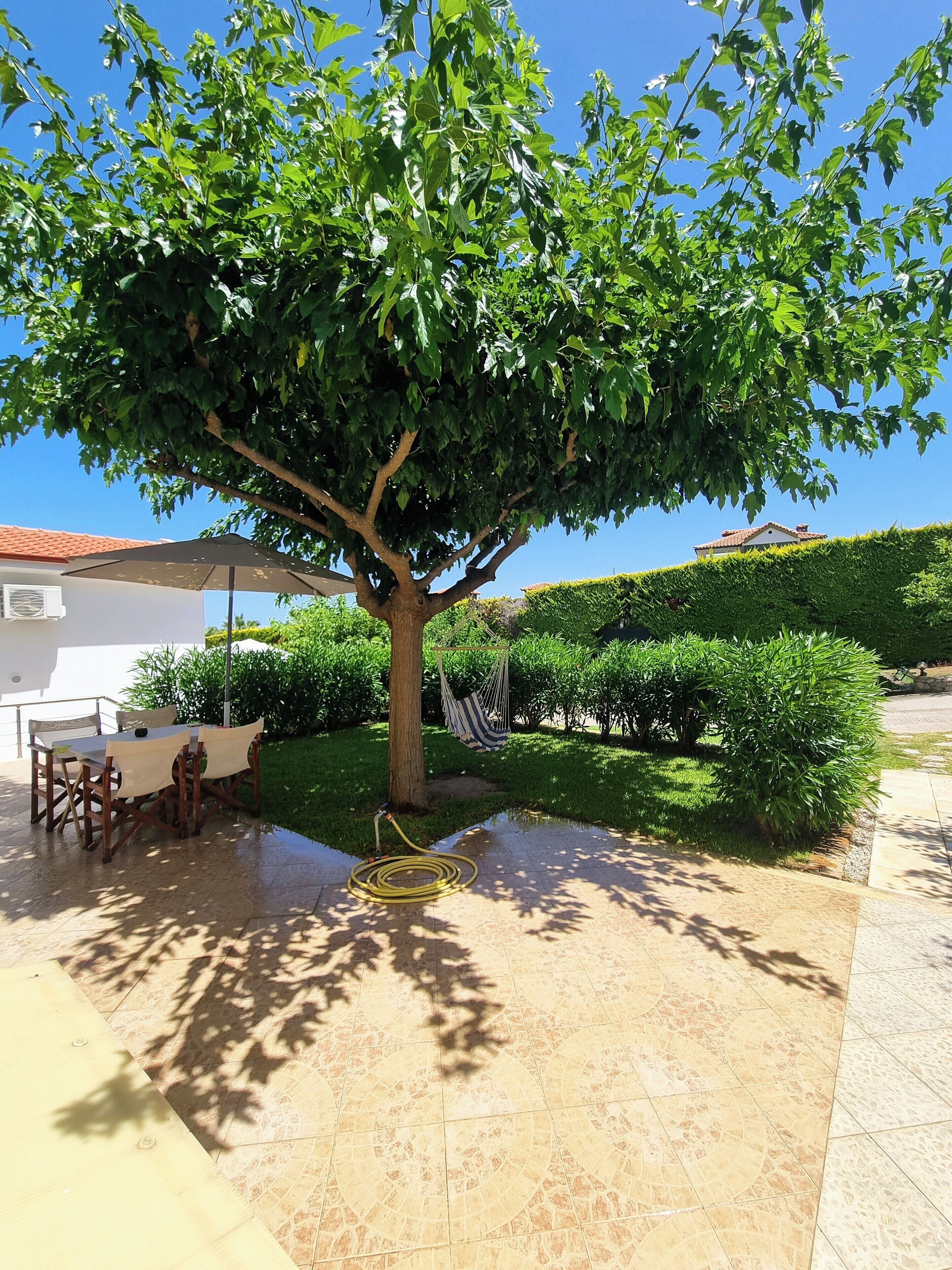 A patio area with a tree, outdoor furniture, and a hose.
