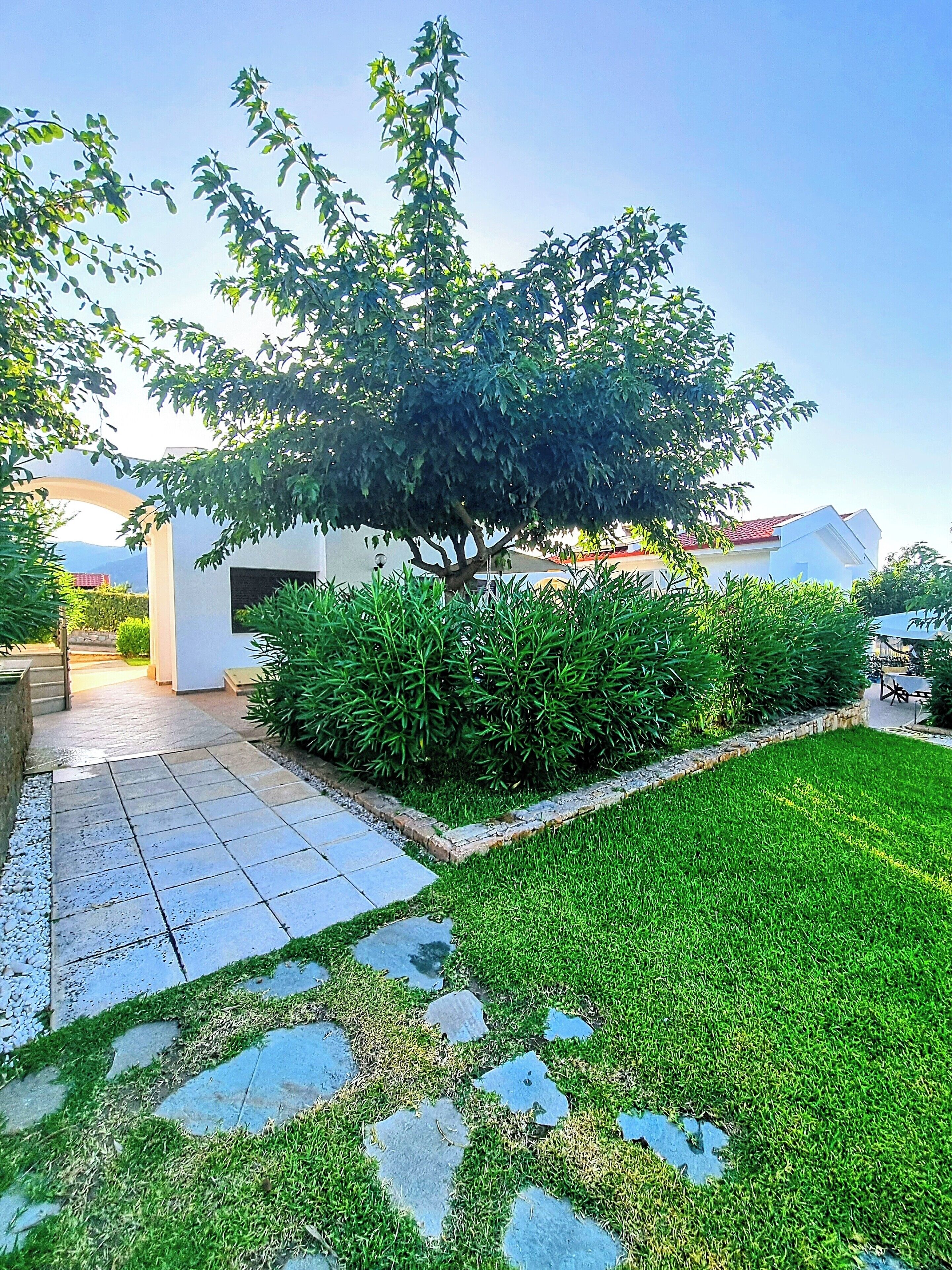 A well-maintained garden with a large tree, a paved walkway, and a grassy area.