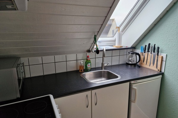 Microondas, horno y placa de cocina