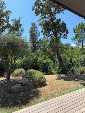 Áreas de la propiedad