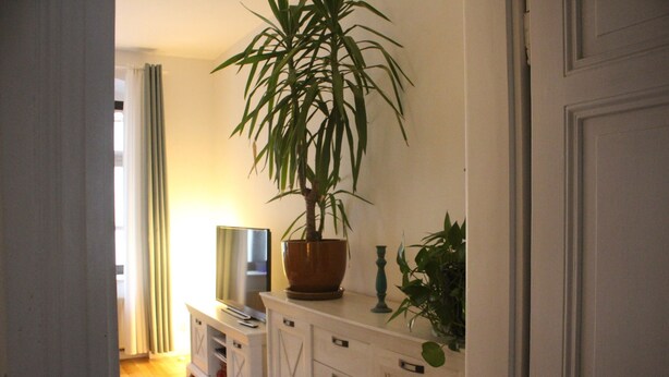 A living room with a television on a cabinet, a potted plant, and a door. - Quiet & cozy apartment in Südstadt, close to the train station & free parking (Görlitz)