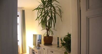 Quiet & cozy apartment in Südstadt, close to the train station & free parking