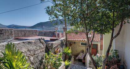 Apartments Antonia