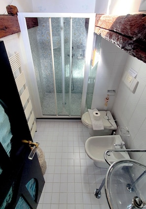 Shower, hair dryer, bidet, towels