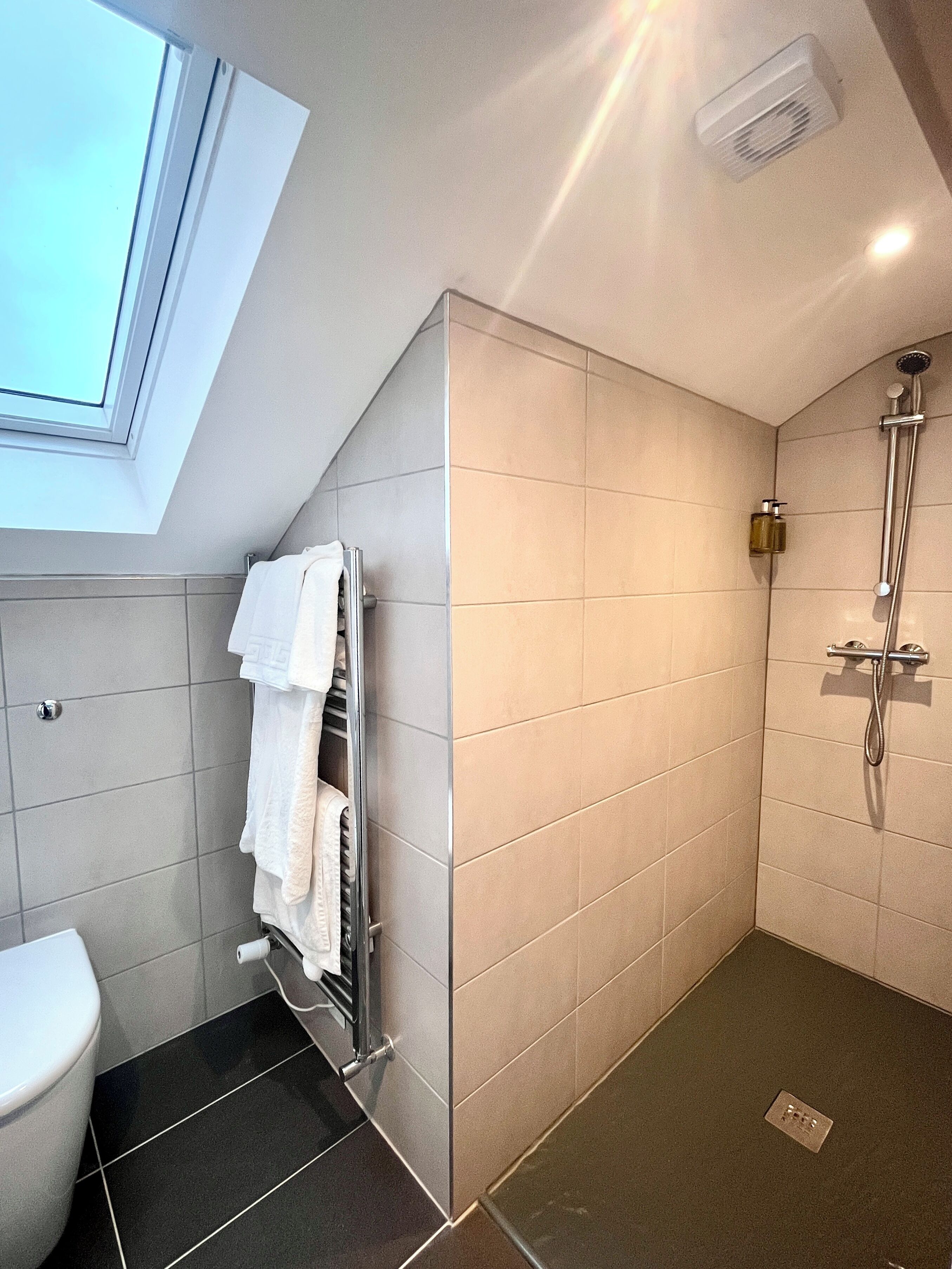A modern bathroom with a skylight, a shower, and a toilet.
