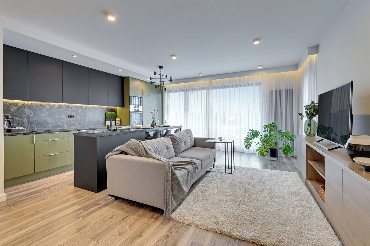 A modern living space with a kitchen, sofa, TV, and plants.