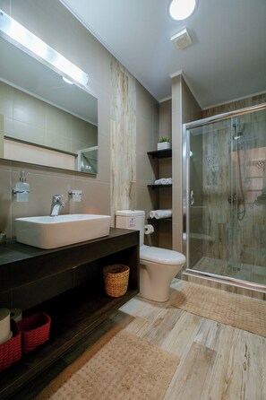 Shower, hair dryer, towels, soap