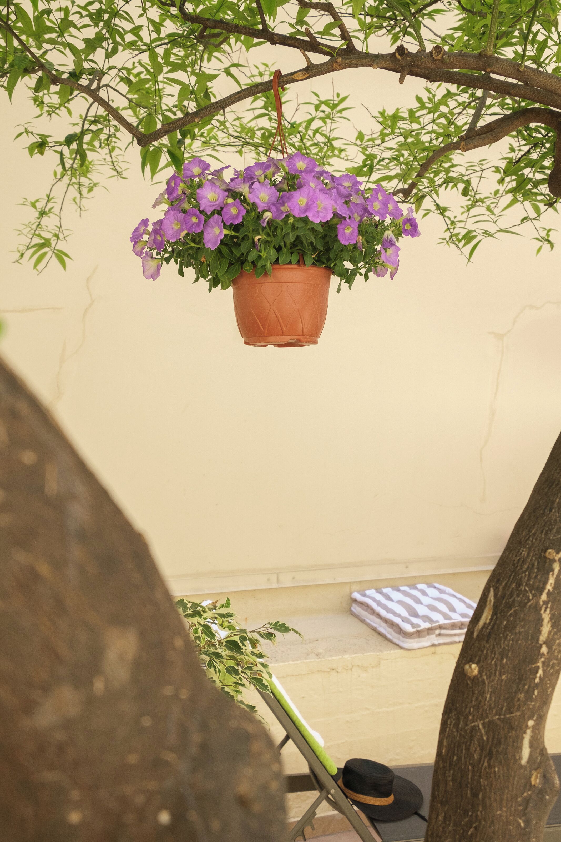 Détail de l’intérieur
