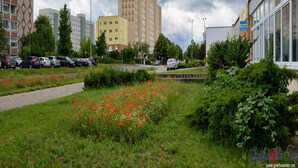 獨棟房屋 | 住宿景觀