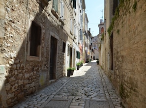 Una estrecha calle empedrada bordeada por edificios históricos de piedra con contraventanas y plantas en macetas.