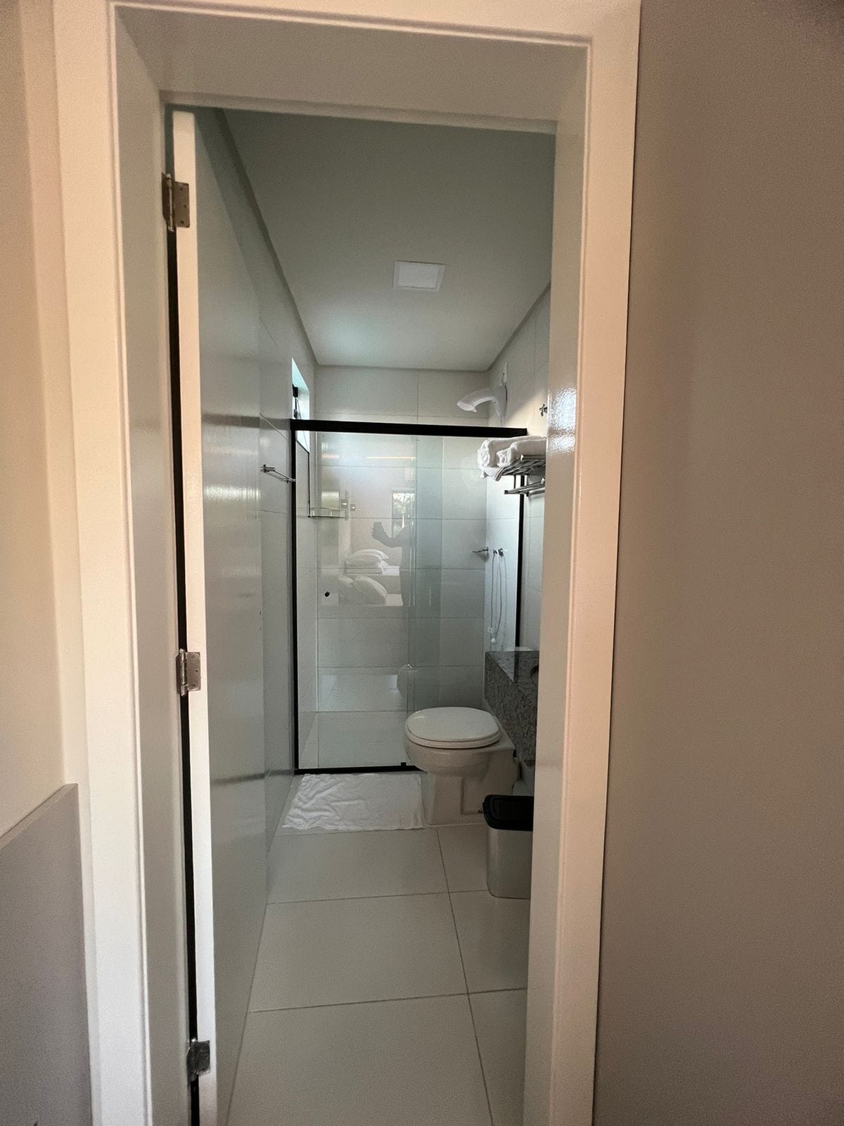 A modern bathroom with a glass-enclosed shower, a toilet, and a sink.