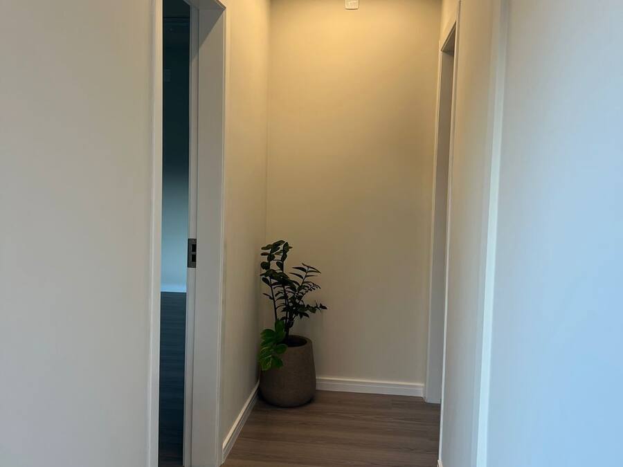A narrow hallway with wooden flooring, white walls, and a potted plant.