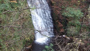 Site d’intérêt