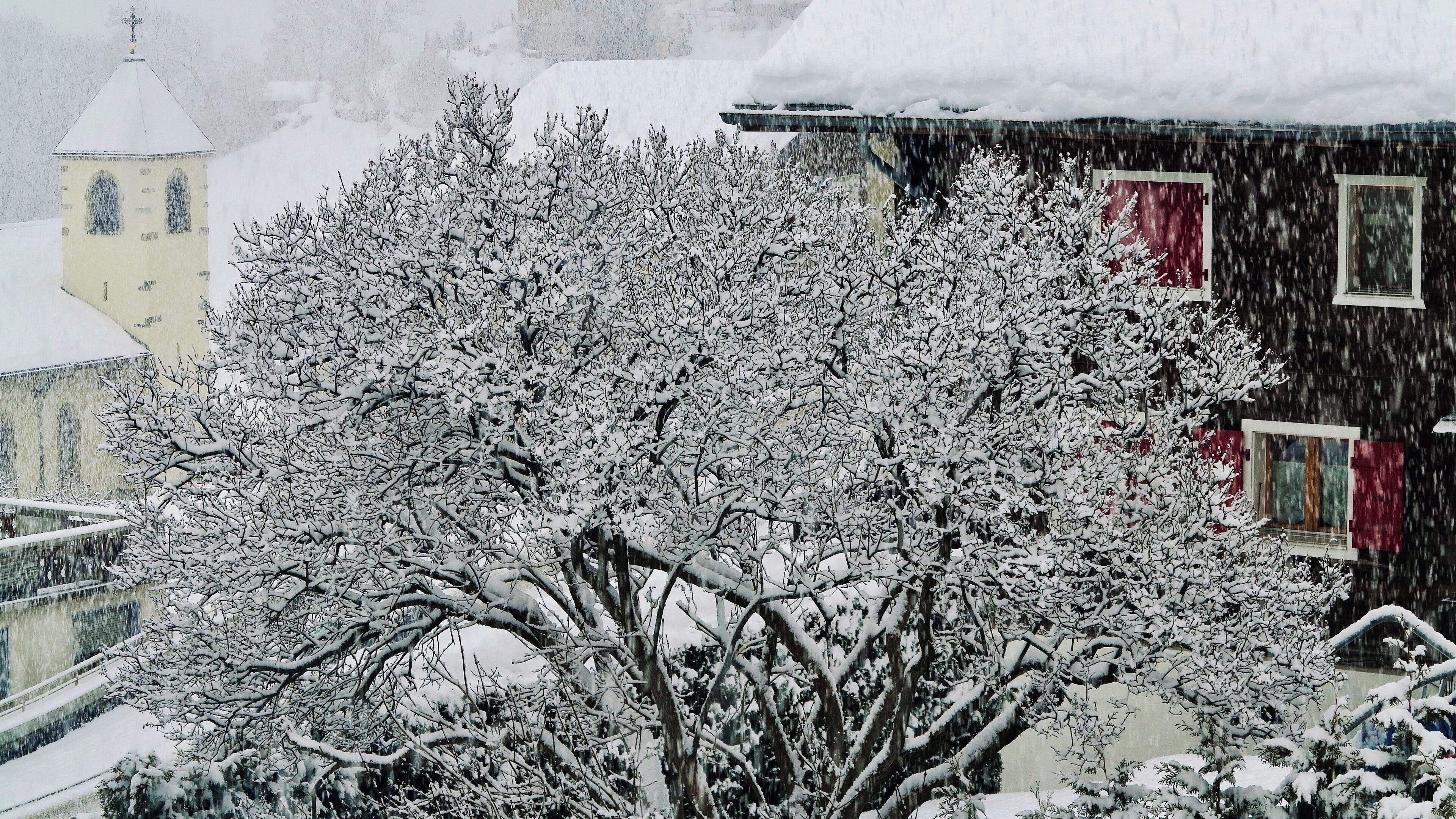 Un edificio imbiancato dalla neve, con una finestra ben visibile e un albero innevato in primo piano.