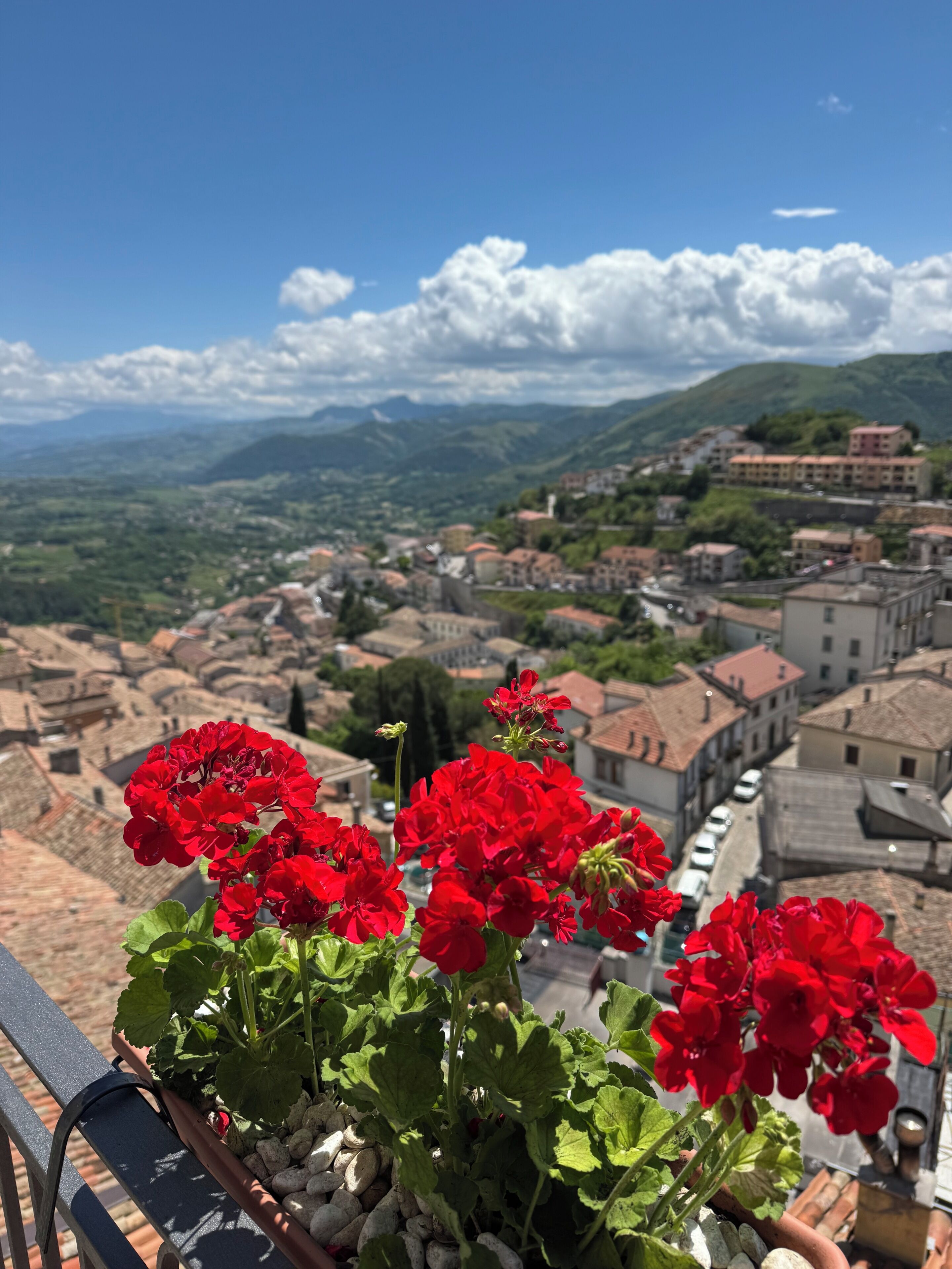 A balcony with red flowers, overlooking a town with buildings and mountains in the distance.