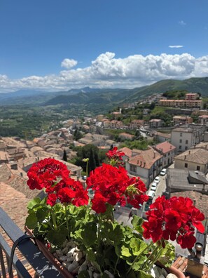 Un balcón con flores rojas, con vistas a un pueblo y montañas al fondo.