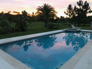 A rectangular swimming pool with clear blue water, surrounded by a grassy area with palm trees and other vegetation. There are two white lounge chairs on the poolside. - Swiss 53-lake Denise (Clermont)