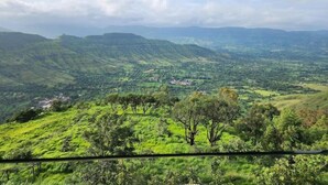 Une vue depuis un espace abrité, donnant sur un paysage verdoyant et luxuriant, avec des collines ondoyantes et des arbres dispersés.