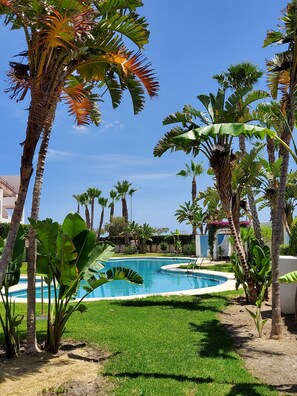A pool surrounded by palm trees and greenery, with a clear blue sky in the background. - CT 362 AL - Primera Linea - Vera Playa  (Vera)