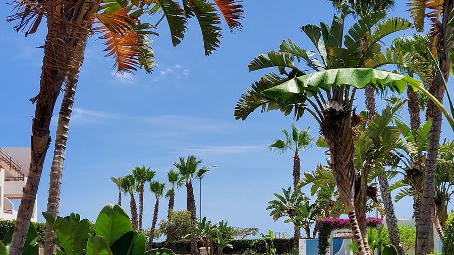 CT 362 AL - Primera Linea - Vera Playa