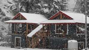 Une cabane à deux étages, avec un toit enneigé et une façade en bois, entourée d’arbres chargés de neige.