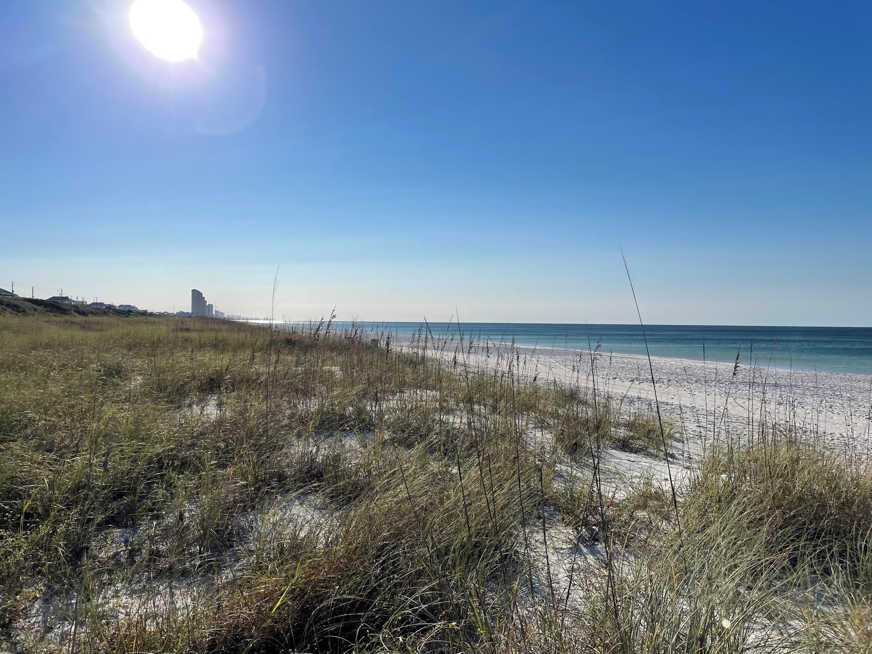 A beach with sand and sparse grass, a clear sky, and a distant city skyline.