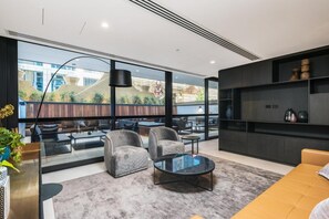 TV connectée, cheminée, lecteur de DVD, livres