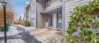 Swiss Mountain 1 Bedroom - S3705 1 Condo