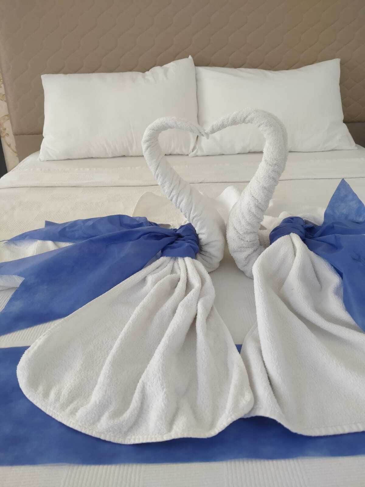 防过敏的被褥、羽绒被、加厚床垫、免费 WiFi