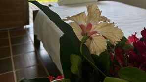 Dobbeltrom – classic, balkong