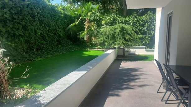 Een terras met een betonnen vloer, een lage muur en een kleine boom.