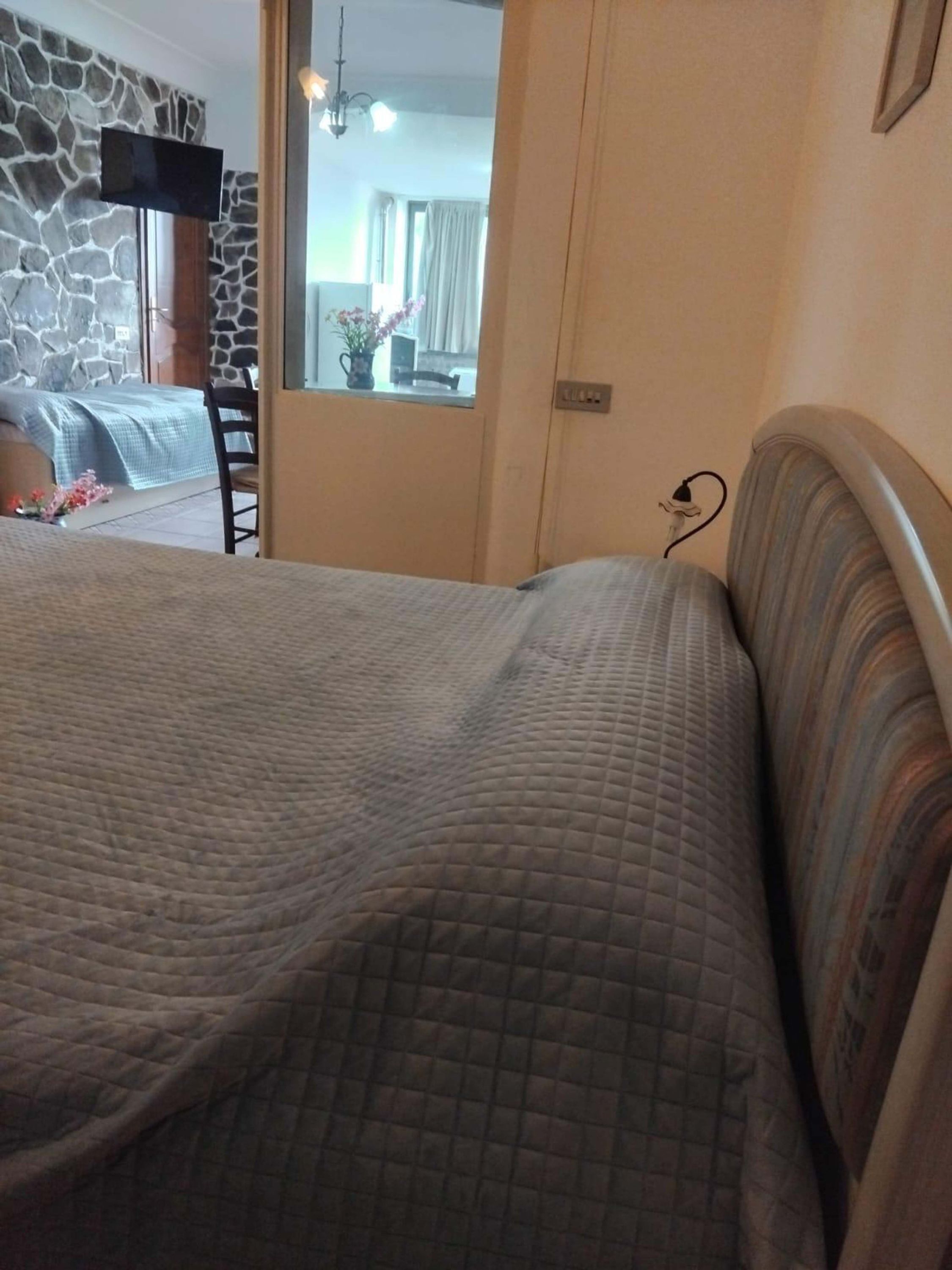 A bedroom with a large bed, a stone wall, a television, and a view of a dining area.