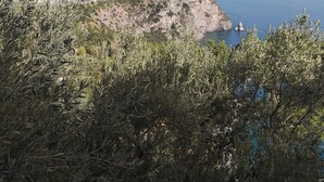 Un paisaje costero con terreno rocoso y vegetación escasa.