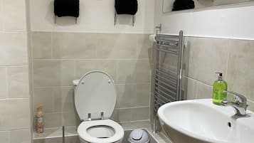 Hair dryer, towels, toilet paper