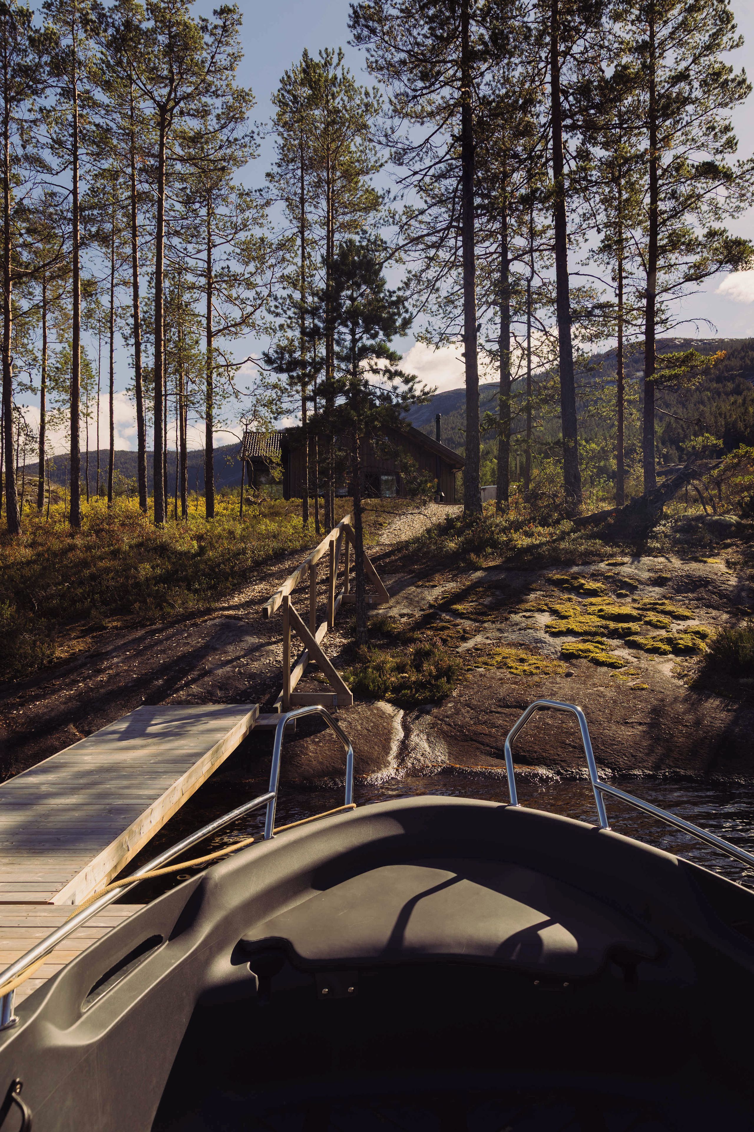 A wooden deck leading to a cabin surrounded by tall pine trees.