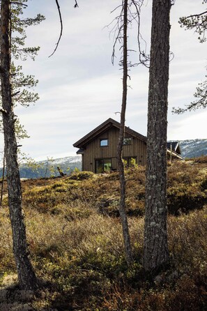 A wooden cabin with a gabled roof, surrounded by trees and a hilly landscape.