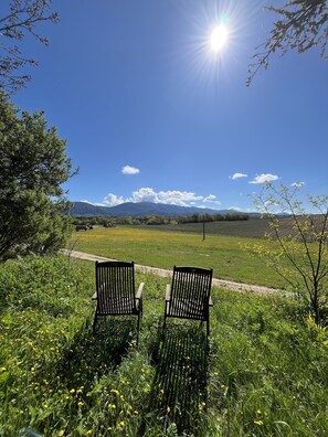 Property grounds - Domaine de La Blache - Le Four (Saint-Jurs)