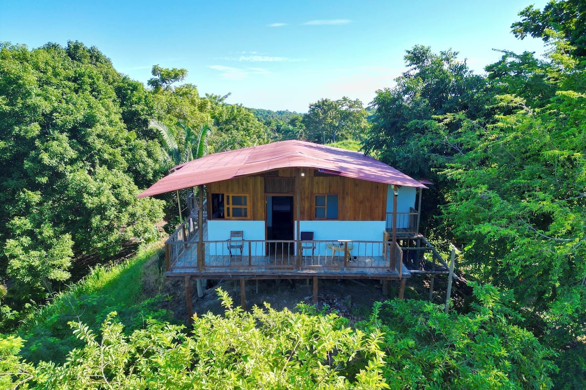 Une cabane en bois avec un toit rouge, entourée d’une végétation luxuriante.