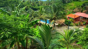 A lush tropical setting with a pool, palm trees, and a red-roofed building. - Zelandia Eco Finca (Santa Marta)