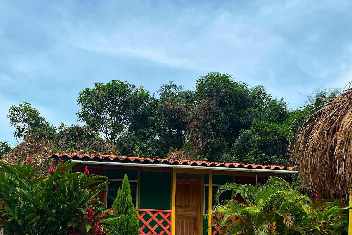 Une piscine dotée d’une terrasse en bois, entourée d’une végétation luxuriante et d’un mur de pierre.
