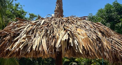 Zelandia Eco Finca