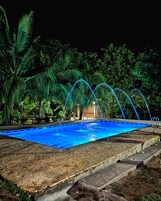 Una piscina con borde de azulejos, rodeada de baldosas de piedra y palmeras.