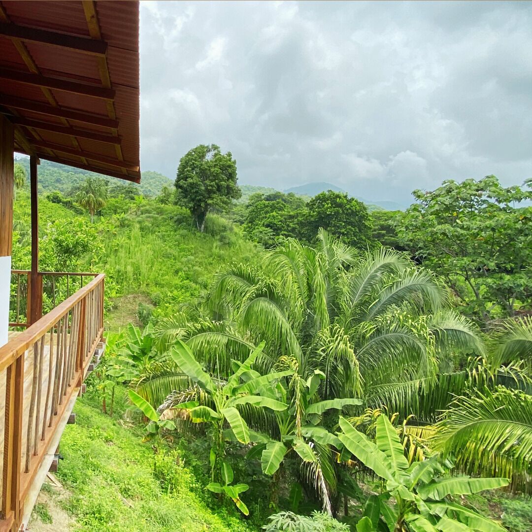 A lush green landscape with a wooden balcony overlooking dense vegetation.