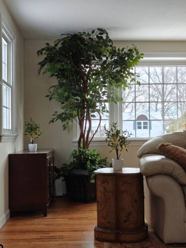 The Serene Skyway Retreat